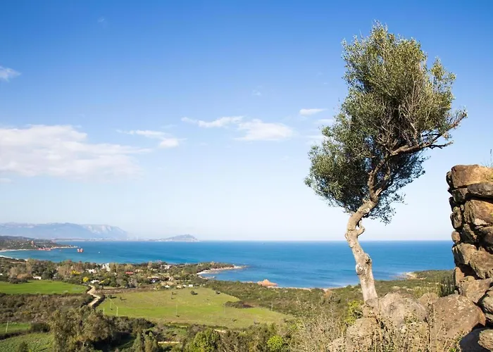 Happy Terrace * 巴里萨尔多